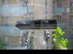 Image 1 Water Pole Window Cleaning (1).jpg